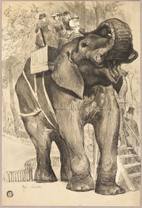 Elefant med ryttare av Auguste Andre Lancon