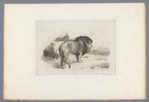 Lejon Un vieux lion (titel på objekt) Franska etsningar från 1874 (serietitel) L