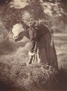 Bonde, c. 1870.