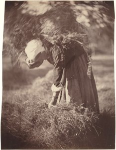 Bonde,ca. 1870 (foto)