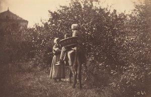 Två kvinnor med åsna, sent 1870-tal.