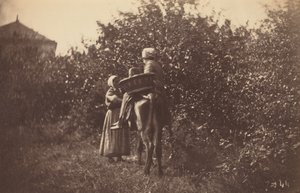Två kvinnor med åsna,sent 1870-tal (foto)
