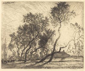 Holland Poplar Farm av Auguste Lepere