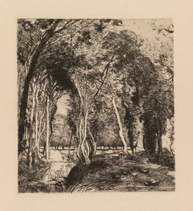Auguste Lepère: Undervegetation, vid Rigonette Vendèe. av Auguste Louis Lepère