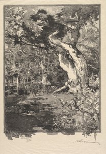 Fontainebleau-skogen: Le Clovis, Plateau de Bellecroix Fontainebleau-skogen..., 1890.