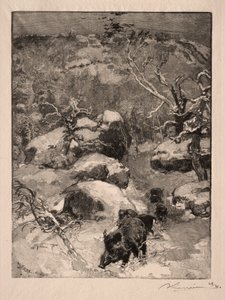 Roche Cuvier Chatillon, 1887. av Auguste Louis Lepère