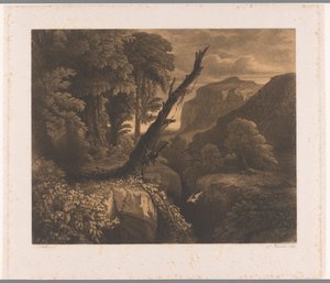Bergslandskap med fågel som flyger genom en ravin Dix eaux-fortes par A. Numans (serietitel) Ansikten av Auguste Numans till andra artister (serietitel) av Auguste Numans