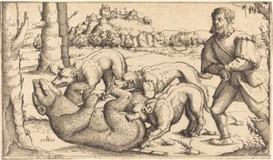 Björnjakt, 1545.