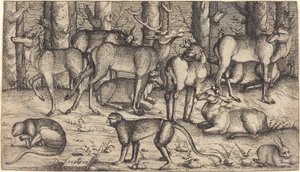 Hjortar i skogen av Augustin Hirschvogel