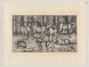 Hjortar i skogen, 1545. av Augustin Hirschvogel