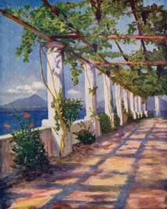 Pergola (färglitografi)