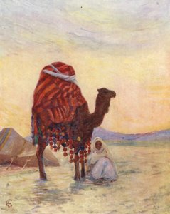 Bash Agas palankin, Biskra (färglitografi) av Augustine Fitzgerald