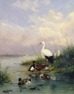 En familj av gräsand, två storkar och en familj av tofsänder (par 77886) av Augustus Knip