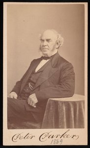 Porträtt av Peter Parker 1804-1888, 1869. av Augustus Marshall