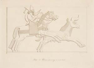 Krigare som jagar en vild tjur, från Monuments of Nineveh, pub. 1849 av Austen Henry Layard