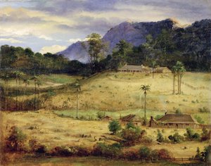 Hembygdsgårdar, c.1850 av Australasian School