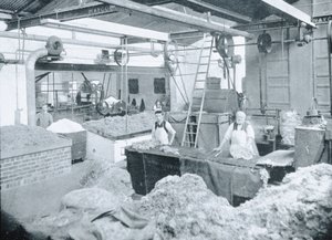 Interior of a Hat Mill, Victoria, ca. 1900, fra 