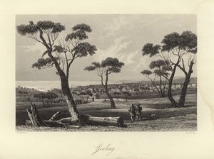 Geelong av Australian School