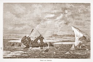 Slåss med valrossen, 1876 av Austrian School