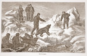 Jakt med hundar, 1876 av Austrian School