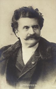 Porträtt av Johann Strauss II av Austrian School