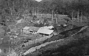 Creation Farm Campos do Jordao, Creation Farm, 1895