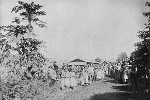 Party in a Colony, Party in a colony, 1895