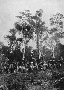 Jungfru Matta, 1895