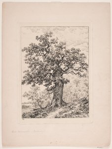 Niels Ebbesens ek. Gyllingnæs skog av Axel Schovelin