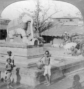 En elefantfontän, Madura, Indien, 1901.