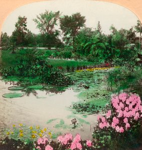 Lily Pond, Tower Grove Park, St. Louis, Mo., U.S.A., 1897.