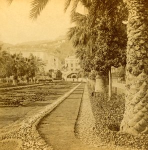 Monte Carlo, tittar från kasinot, 1897.