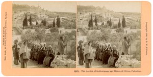 Getsemane trädgård och Oljeberget, Palestina, 1898.