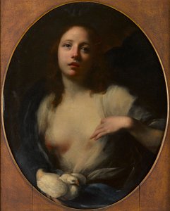 Målning av en ung flicka med vit duva (olja på duk) av Baldassare (1611 89) Franceschini