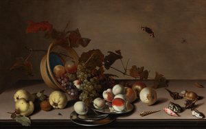 Fruktstilleben med flätad korg, musslor och fjäril, 1600-talets första hälft. av Balthasar van der Ast