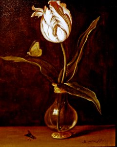 En enda tulpan i en vas av Balthasar van der Ast