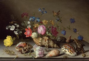Blommor, snäckor och insekter på en stenkant
