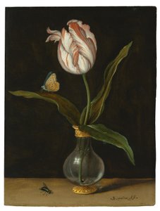 "Summer Beauty"-tulpanen (olja på duk)