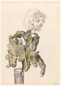 Blommande krysantemum, i en vas