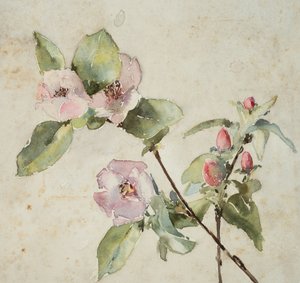 Grenar av rosa blommor (akvarell på papper)