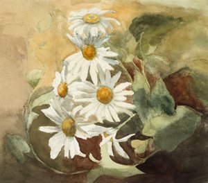 Tusenskönor (akvarell på vävt papper)