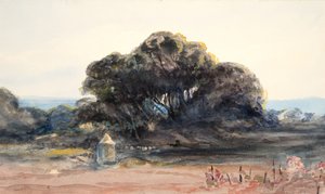 Landskap: Pine och Small Turret (akvarell och grafit på vävt papper) av Barbara Leigh Smith Bodichon