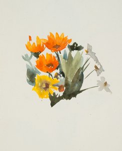 Orange blommor (akvarell och grafit på vävt papper)