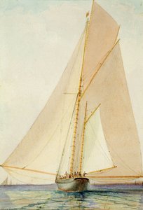 Blommar ut i en ljus Zephyr (akvarell på papper) av Barlow Moore