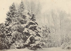 Landskap av granar under snön av Baron A. Fays