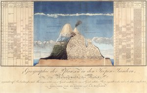 Geography of Plants in Tropical Countries, A Study of the Andes, tecknad av Schoenberger und Turpin, tryckt av Langlois, Paris