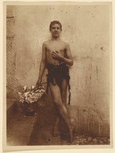 [Ungdom med liljor] av Baron Wilhelm von Gloeden