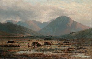 Torvmosse, Letterfrack, Connemara av Bartholomew Colles Watkins