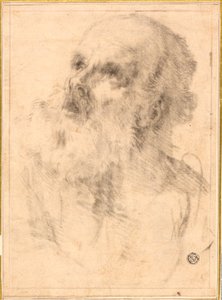Huvudet av en gammal man av Bartolomé Esteban Murillo