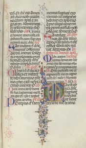Missale: Fol. 260: Lövverk med frukt, 1469